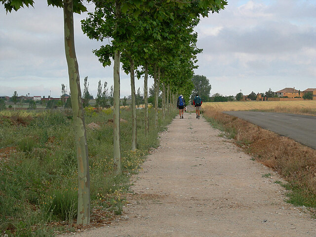 Ewige Allee entlang der Hauptstrecke