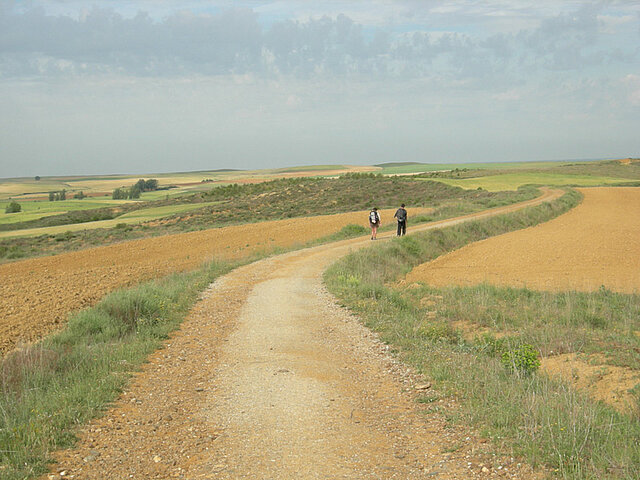 Das letzte Stück Meseta